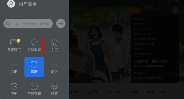 飞视浏览器领先版