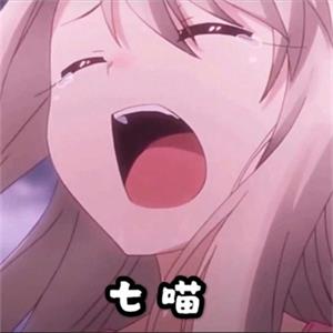 七喵美化包框架