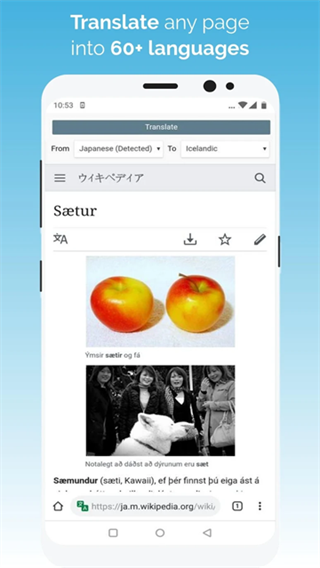 kiwibrowser