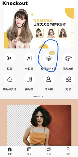 proknockout proknockout