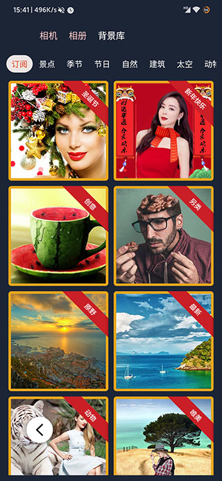 proknockout proknockout