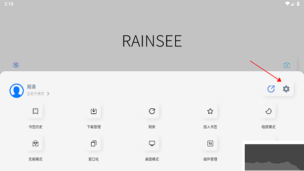 rains浏览器