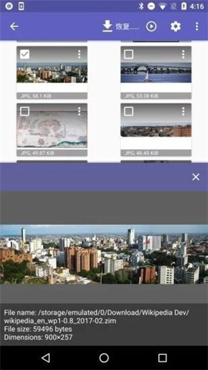 Diskdiggerpro安卓版下载