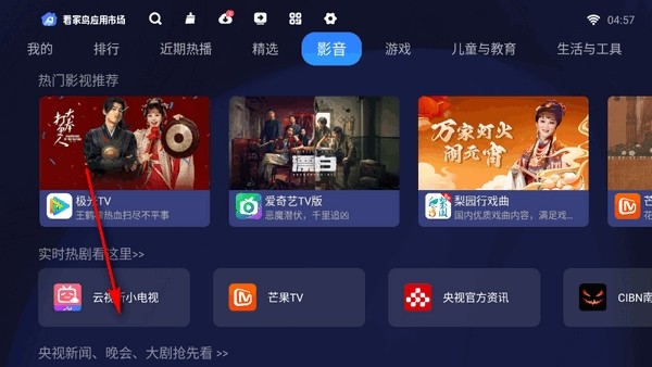 看家鸟市场电视版