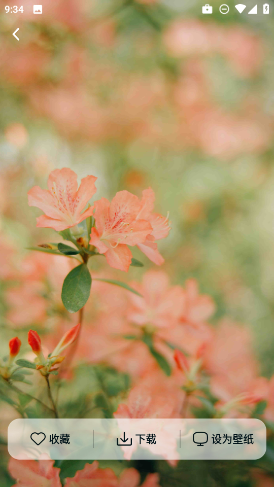 灵蝶壁纸app免费下载