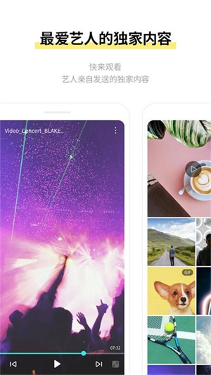 lysn国际版安卓版下载