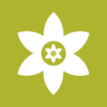 安装狮安卓版下载