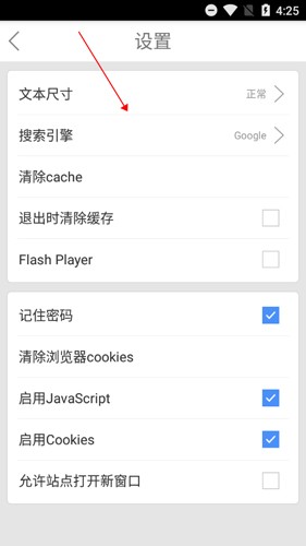 Web浏览器下载安装