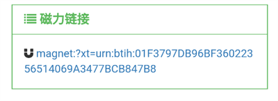 老王磁力手机移动端app下载