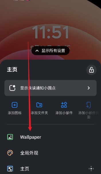 smart launcher pro中文版App下载