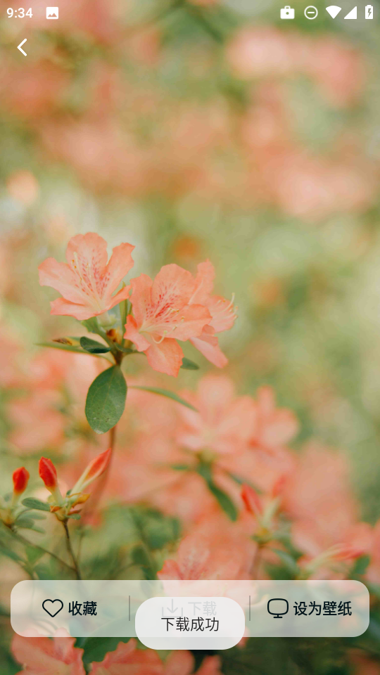 灵蝶壁纸app免费下载