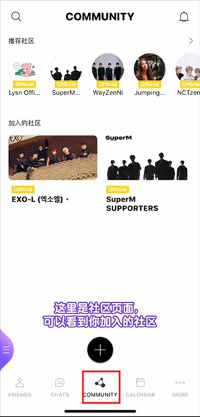 lysn国际版安卓版下载