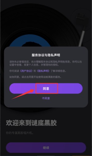谜底黑胶免付费版