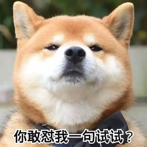 2025两狗对视表情包图片大全无水印下载下载安装