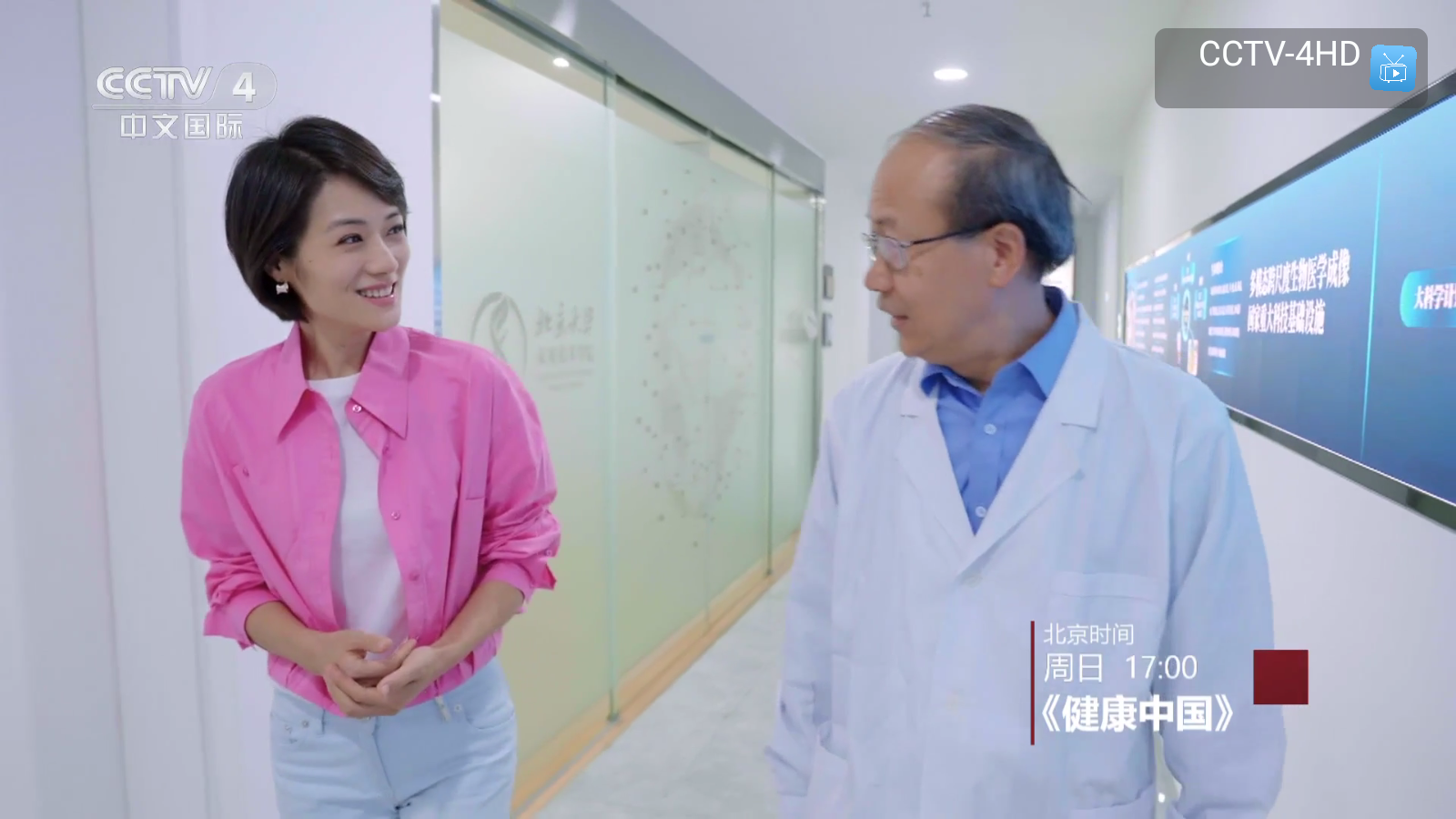 乘风tv电视版app