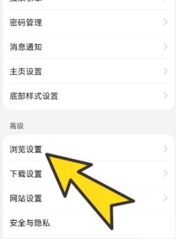 bobo浏览器黑色版