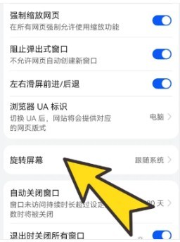 bobo浏览器黑色版