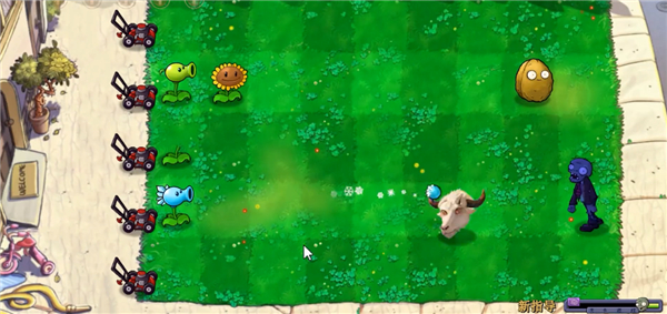 植物大战僵尸新指导版