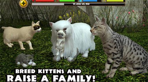 流浪猫模拟器中文版