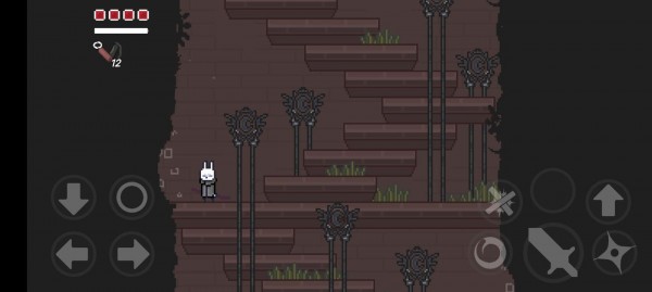 只兔不灭的勇者