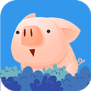 捉小猪 app下载