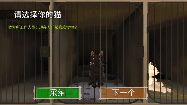 顽皮猫生活模拟 app下载