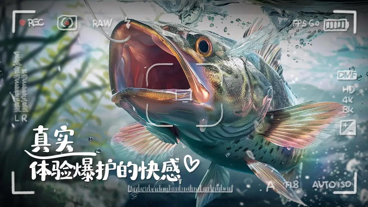 垂钓大师 app下载