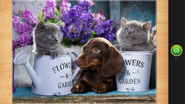 魔法拼图 app下载