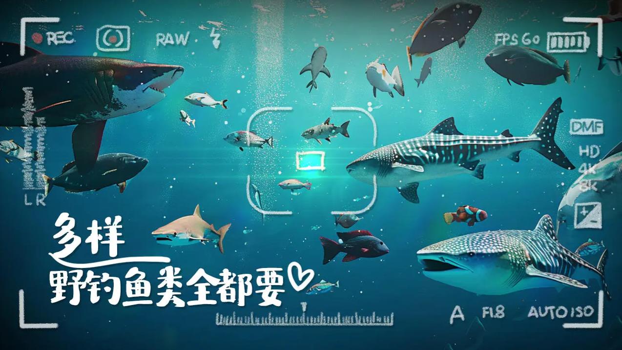 垂钓大师 app下载